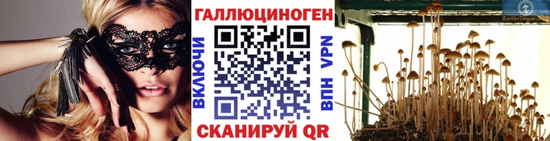 Галлюциногенные грибы мухоморы  Малая Вишера 